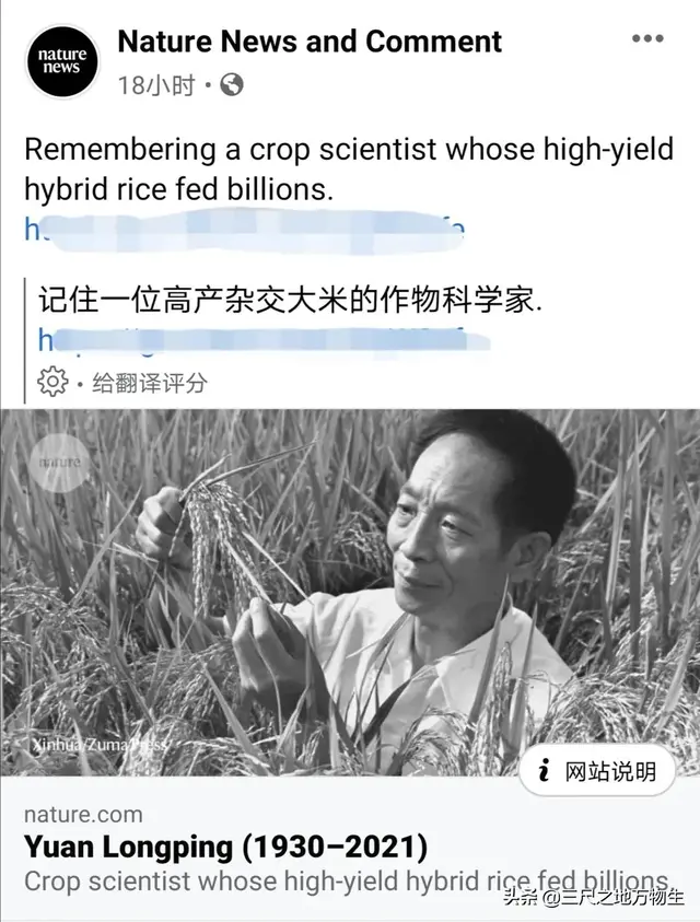 The narrowness and ugliness seen in articles in wellknown