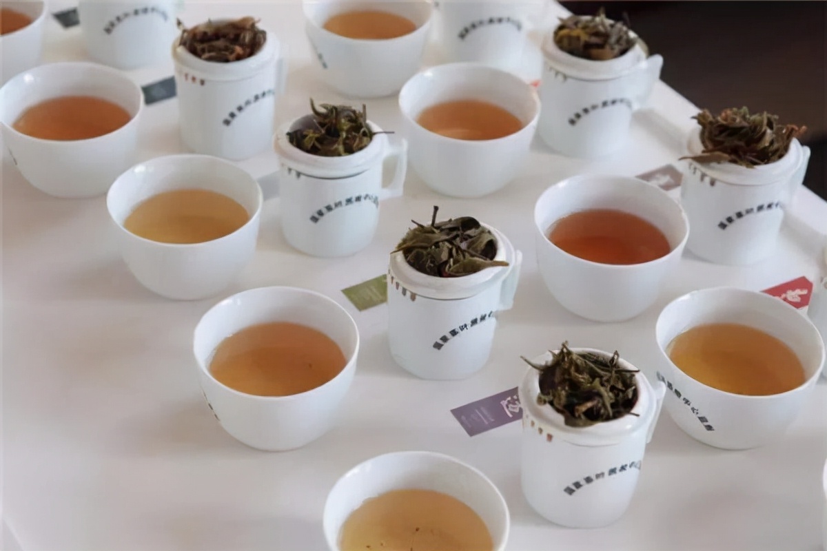小喜年：獲得“國際名茶金獎”的普洱熟茶，是什么味道的？