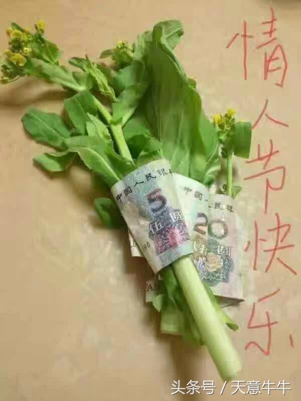 情人节送女朋友礼物_6