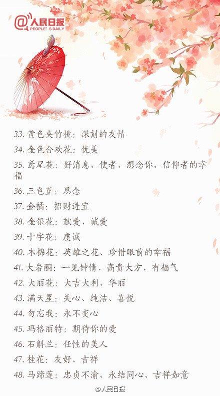 情人节送礼物2016情人节送花必备：100种鲜花花语大全