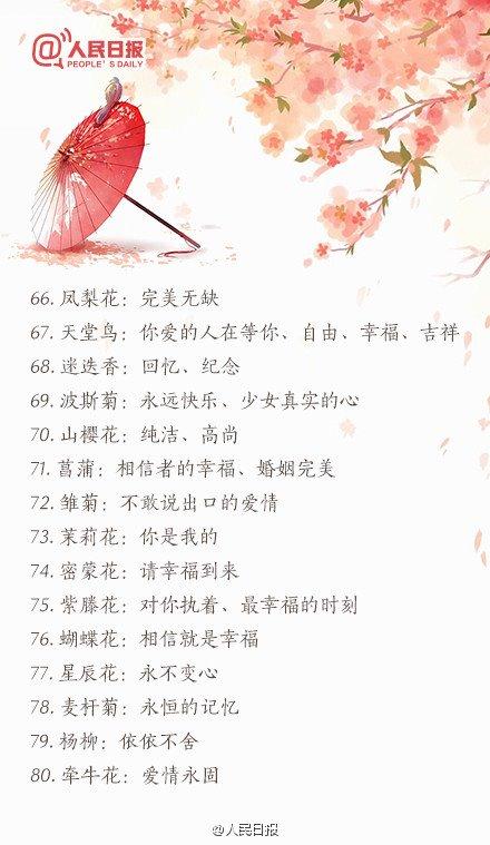 情人节送礼物2016情人节送花必备：100种鲜花花语大全