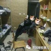 情人节送女朋友什么礼物比较有意义_18