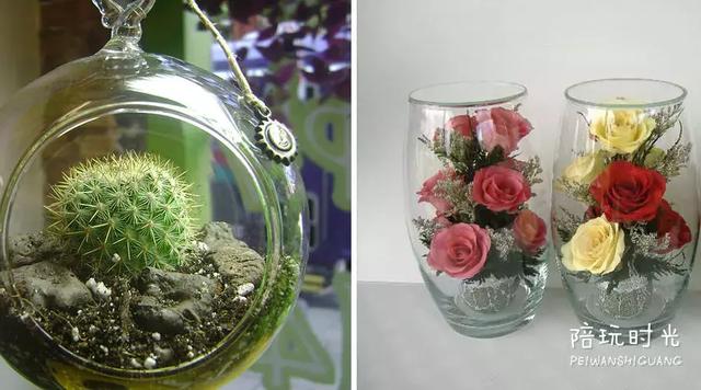 情人节送给女朋友什么礼物_3