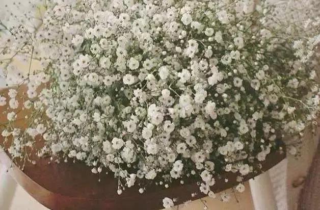 情人节送什么礼物好情人节送花指南