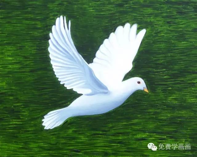 鸽子画画图片大全图片 儿童画盒子