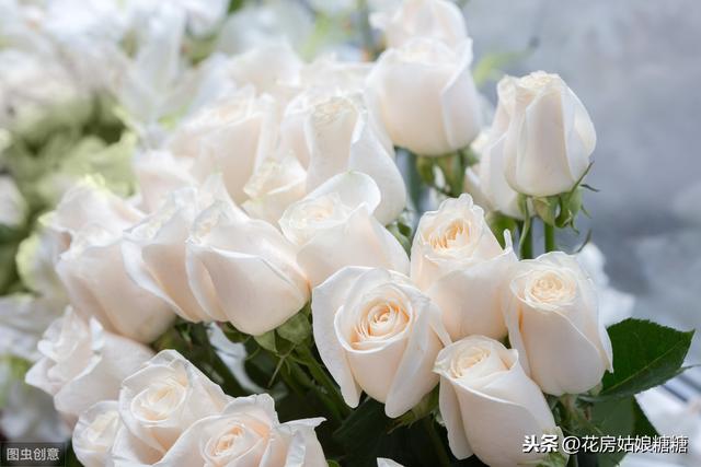 情人节送闺蜜什么礼物七夕倒计时，不同的玫瑰花语，都有不同的寓意！（建议