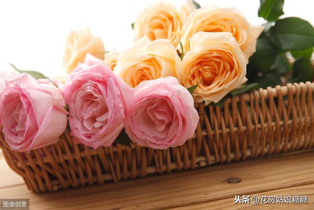 情人节送闺蜜什么礼物七夕倒计时，不同的玫瑰花语，都有不同的寓意！（建议