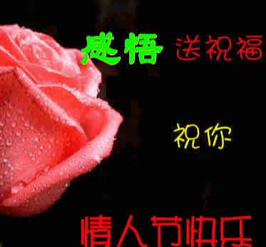 送男友情人节礼物2月14号情人节，送你999朵玫瑰，祝你情人节快乐！