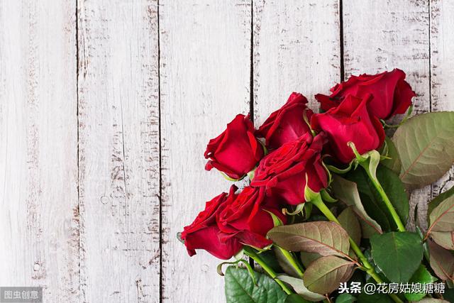 情人节送闺蜜什么礼物七夕倒计时，不同的玫瑰花语，都有不同的寓意！（建议