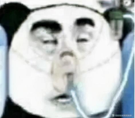 你们最期待手机微信增加哪些作用呀?