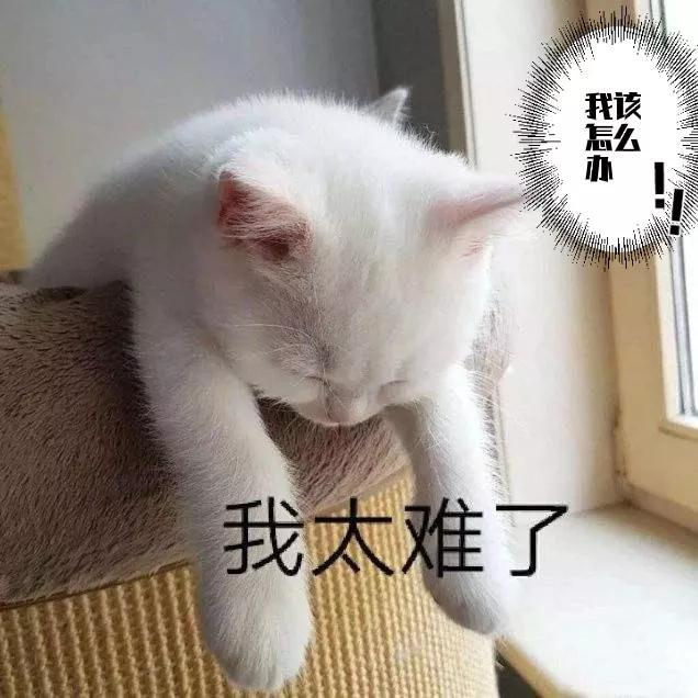 送女朋友什么礼物_4