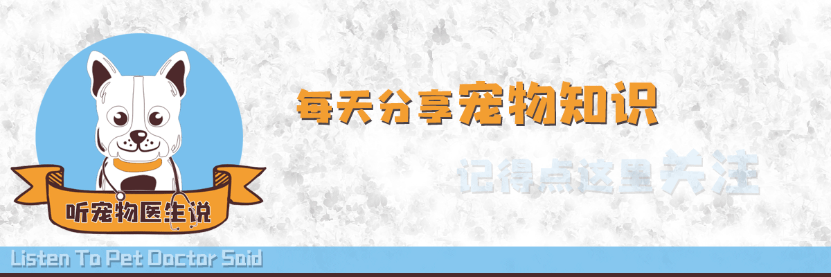 辟謠：狗狗出現共濟失調就是腦炎？前庭綜合徵才是常見病因 萌趣萌寵 第1张