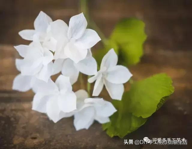 自己动手做什么送女朋友最好,创意礼物