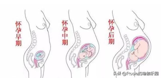怒甩豪門消失7年，39歲陳法拉產女，產後瘦肚子如何不踩坑？ 健身減肥達人 第16张