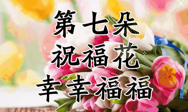 情人节送媳妇什么礼物中国情人节，送你七朵花，愿你好运连连、幸福开花