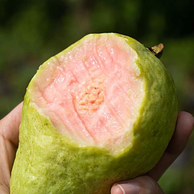 Check in these unpopular niche fruits, the lowkey deliciousness can no