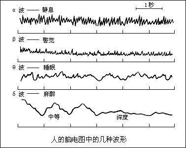 梦见自己怀孕是啥预兆 梦见和女人睡觉插图2