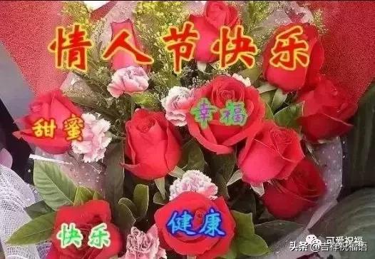 送给老婆情人节礼物明天情人节，99玫瑰送给群里朋友,祝你们情人节快乐,永远