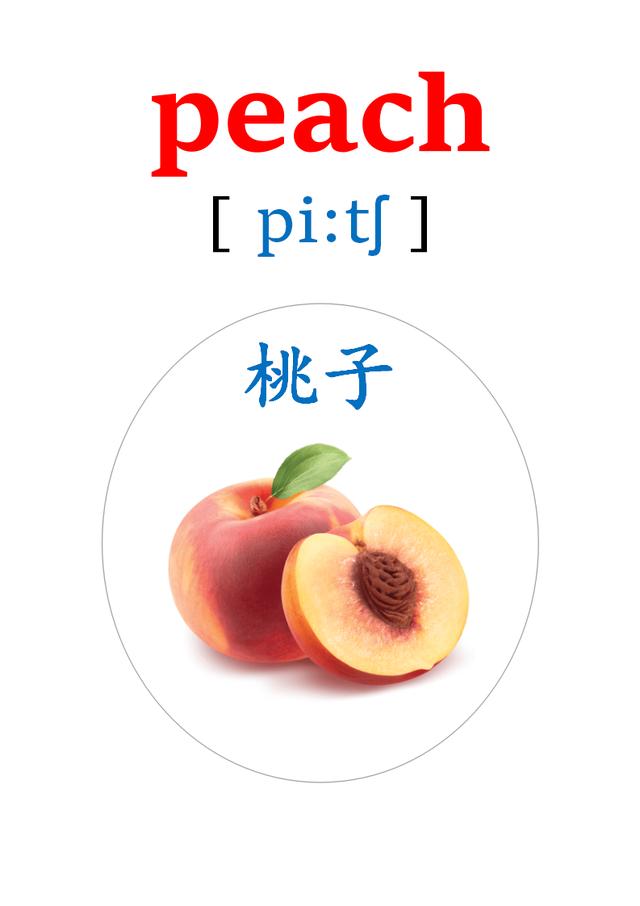 蔬菜英语单词 水果英语单词