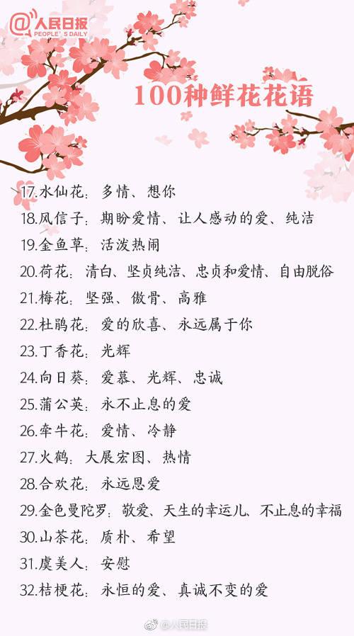情人节该送什么礼物100种鲜花的花语，情人节送花就用它，转发买花收花都用得