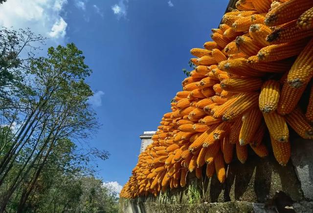 这个“十一”朋友圈里的云南又美出新高度