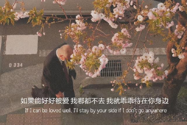 国拍网站