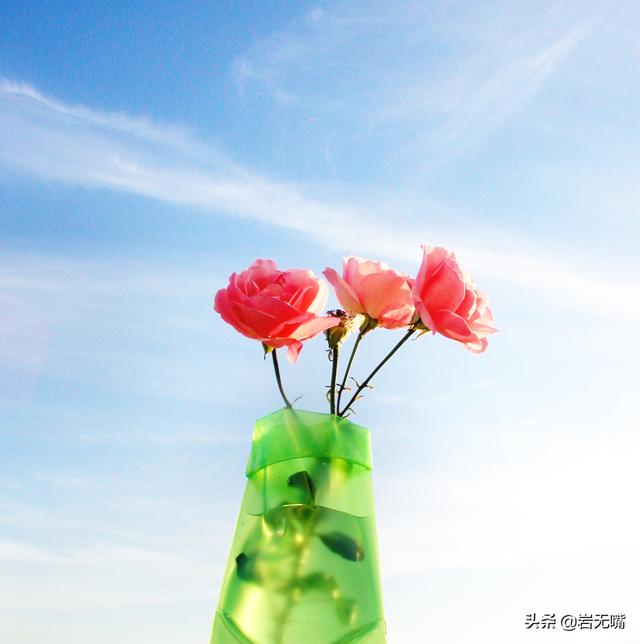 情人节送男友什么礼物情人节：最美的玫瑰花送给你，最好的情话说给你听