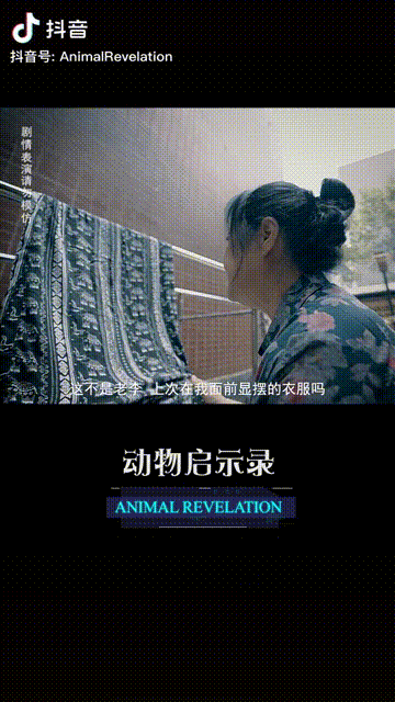 1周涨粉161w，它怎么用短视频给直播间持续导流？