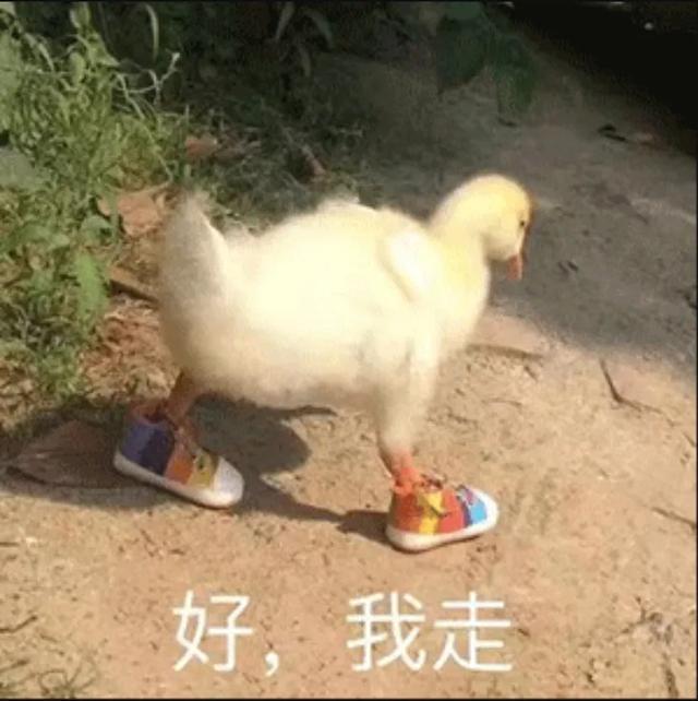 适合七夕发的沙雕文案：你七夕有时间吗？我想送你个女朋友 圣诞节送女朋友