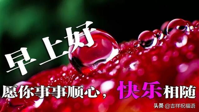 周二清晨微信群发早上好温馨问候语句，早晨最美早安祝福短信句子