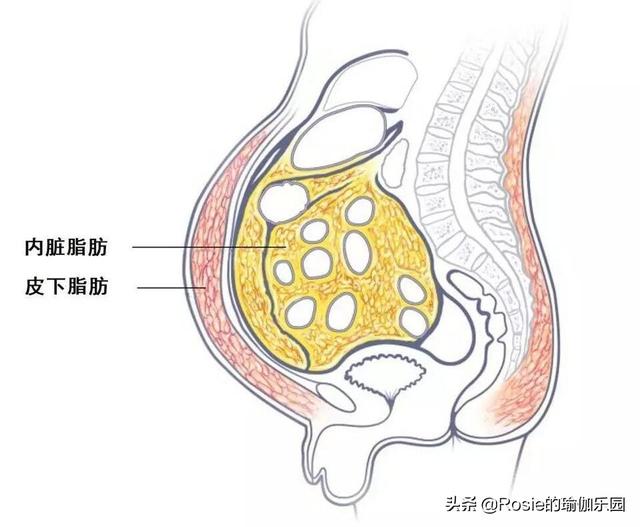 三金影後周冬雨愁這件事，每天5分鍾流瑜伽，擁有同款易瘦體質 健身減肥達人 第6张