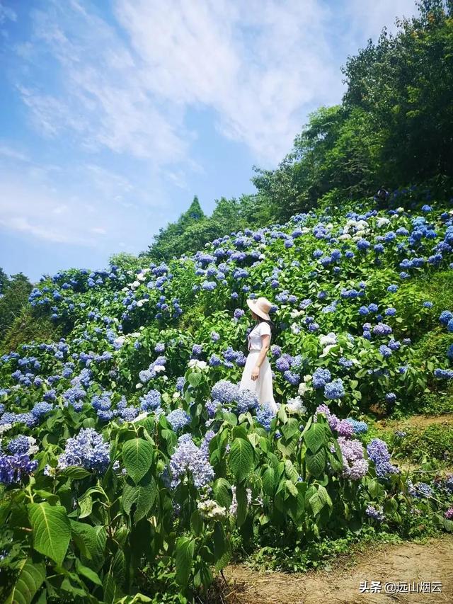 自拍杆的使用方法图解（手把手教你使用自拍杆）