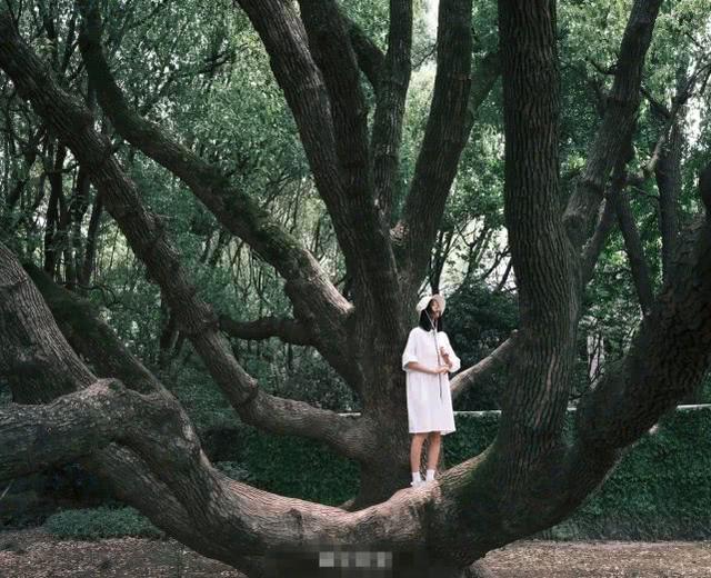 劉雯曬夏遊私服照！一身白衣搭白帽清爽活潑，追風造型格外有范兒 娛樂八卦吃瓜 第2张