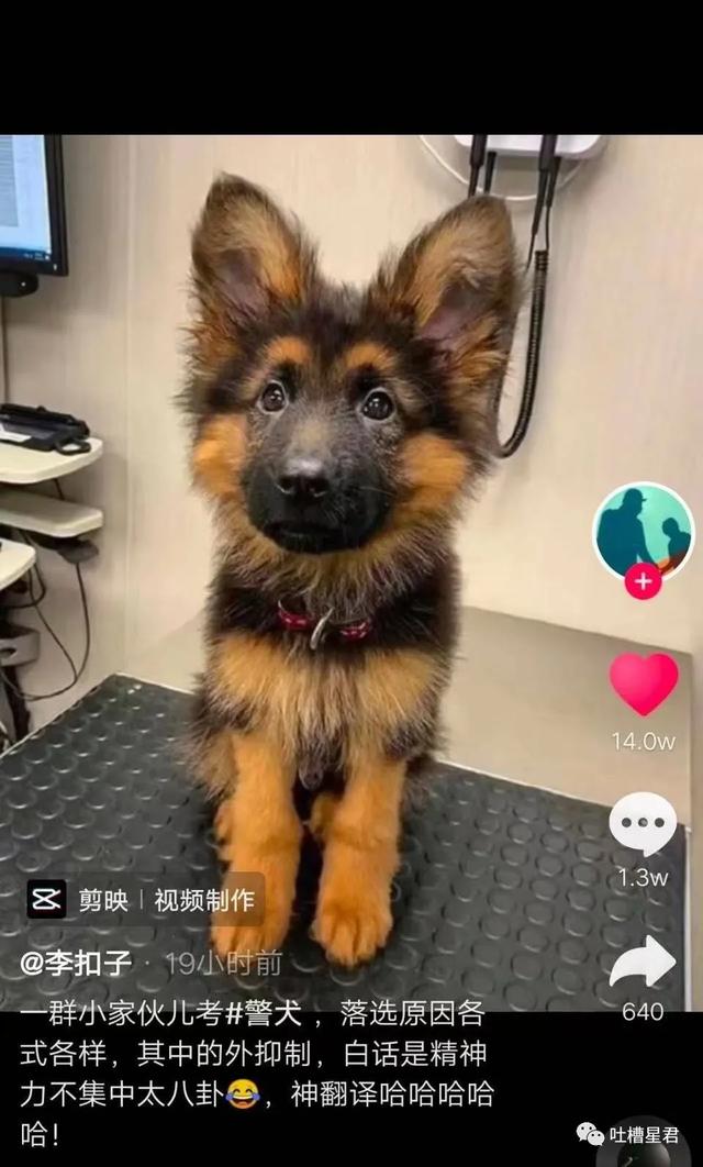 这胸？这腰？收到异地女友禁欲系自拍…突然没有了世俗的欲望 七夕送女朋友