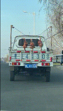 笑死我了，姑娘，你是第一次坐電瓶車吧，這個坐姿不覺得尷尬嗎 搞笑整蠱 第25张