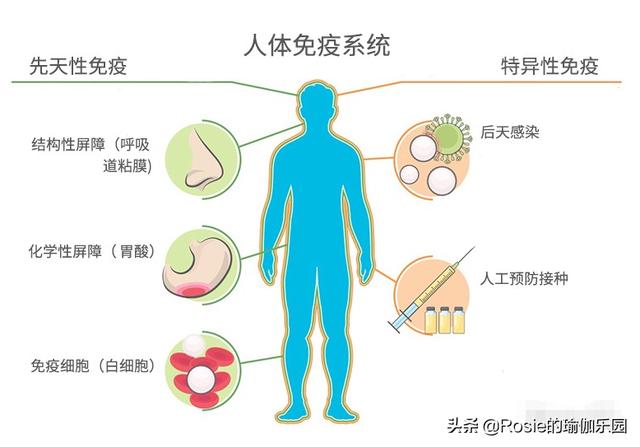 李沁挑戰空中瑜伽似仙子，每天10分鍾這樣做，高效瘦出同款身材 健身減肥達人 第12张