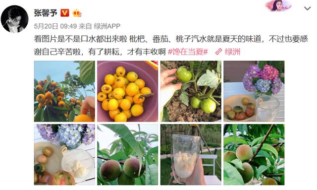 張歆藝曾被罵「滾出娛樂圈」，如今逆襲成「好媳婦」，她有何手段 娛樂八卦吃瓜 第27张