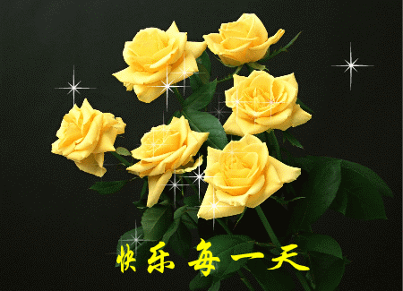 情人节送男友今日情人节，2.14玫瑰送给亲爱的朋友，祝你们情人节快乐