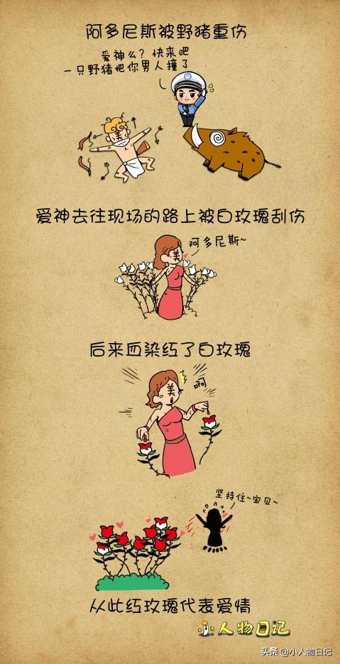 情人节送什么礼物好那么多象征爱情的花，为什么人们更钟情于玫瑰花？