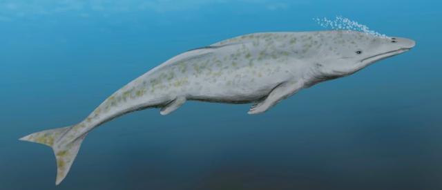 鲨鱼是不是哺乳动物（鲸鱼鲨鱼鳄鱼哪个厉害）