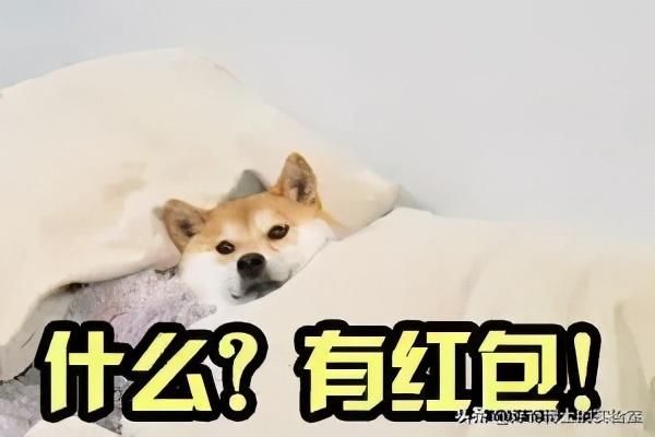 11个奇奇怪怪的微信隐藏玩法（含撩妹教程）