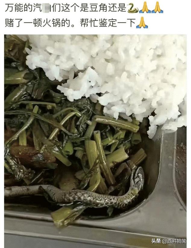 笑死我了，大叔狂刷100萬的禮物，終於跟網紅見了面，網友：不值 搞笑整蠱 第25张
