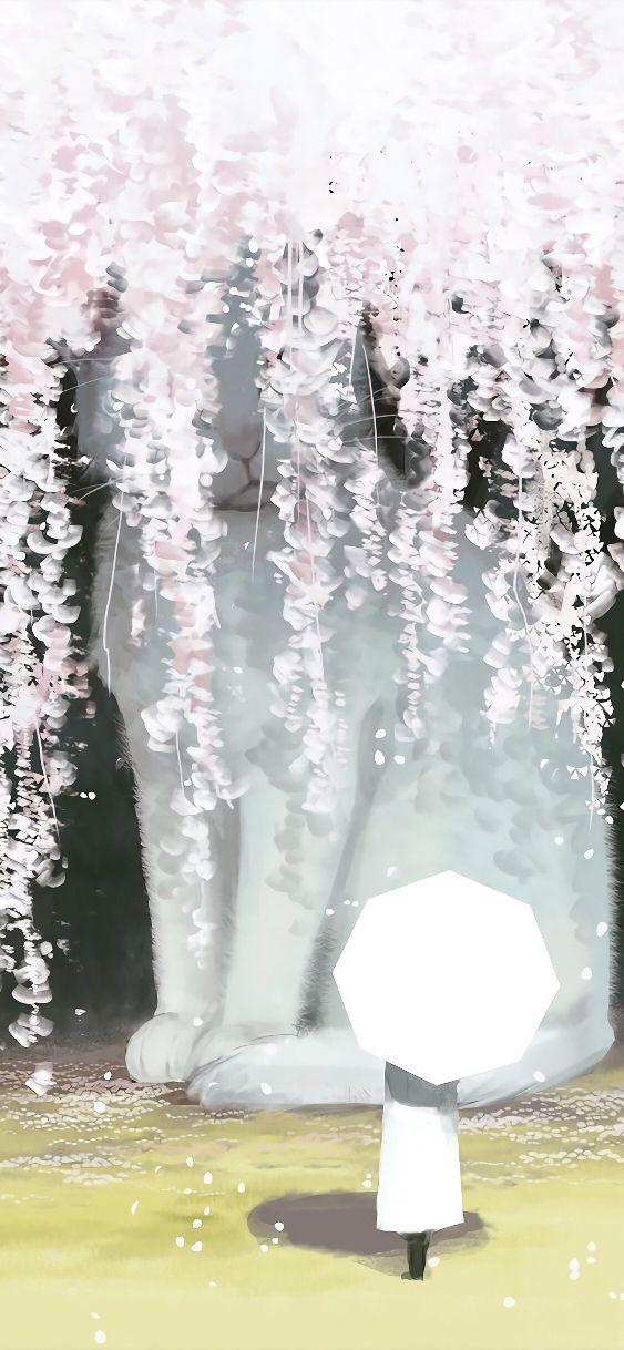 鲜花壁纸图片大全大图 好看的鲜花图片 唯美