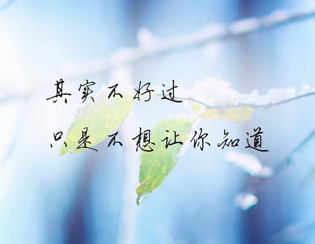 七夕情人节送什么礼物好七夕，致深爱过的人：谢谢你，出现在我的生命里