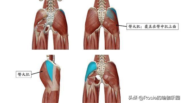 臀側凹陷穿衣丑更顯老，如何擁有蜜桃臀？超模私教4步帶你練 健身減肥達人 第6张