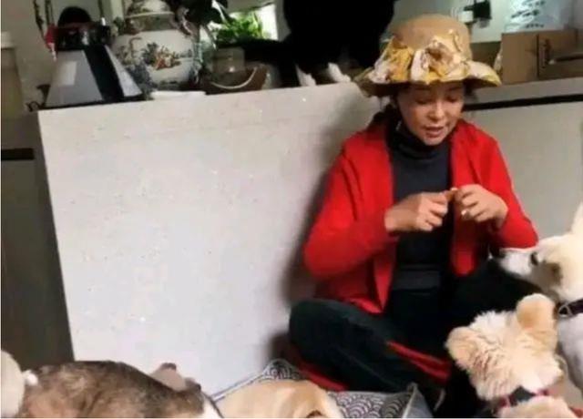 一婚嫁日本二婚嫁美國三婚法國，誓死不嫁中國男人的李勤勤怎樣了 娛樂八卦吃瓜 第13张