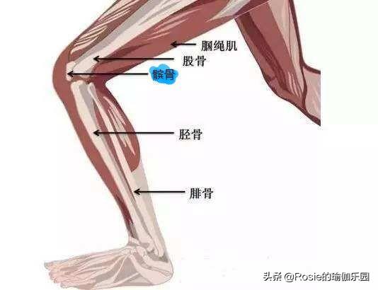 蔣欣長腿細腰超模範兒，如何XO腿變美腿？超模私教帶你3步練 健身減肥達人 第15张