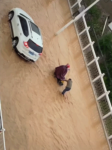 这两天点赞最高的视频，都是从河南发出的