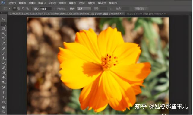 photoshop哪个版本最好用（新手下载ps哪个版本好）