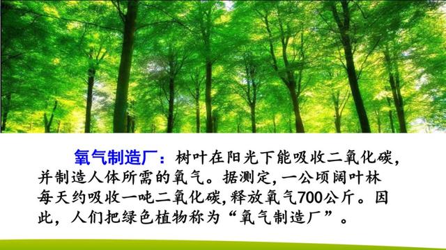 引人注目的拼音 吸引的拼音